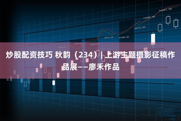 炒股配资技巧 秋韵（234）| 上游主题摄影征稿作品展——廖禾作品